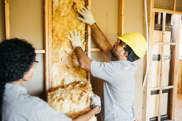 Best Insulation Removal  in Centreville, AL