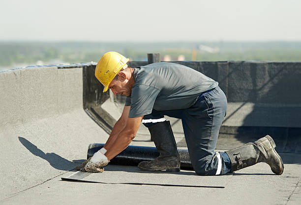 Best Best Insulation Companies  in Centreville, AL