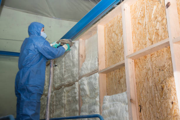 Best Fiberglass Insulation  in Centreville, AL